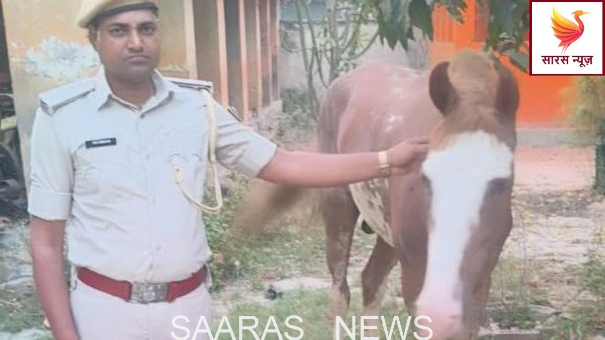 शराबबंदी को चुनौती! घोड़े पर तस्करी का खेल बेनकाब, बेतिया में 21 लीटर शराब के साथ आरोपी गिरफ्तार।